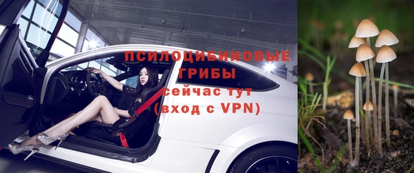 эйфоретик Абаза